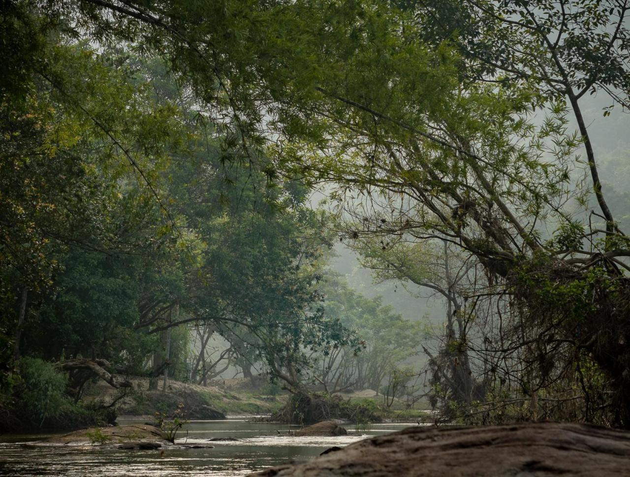 Quiet By The River- Cgh Earth Thodakayam ภายนอก รูปภาพ