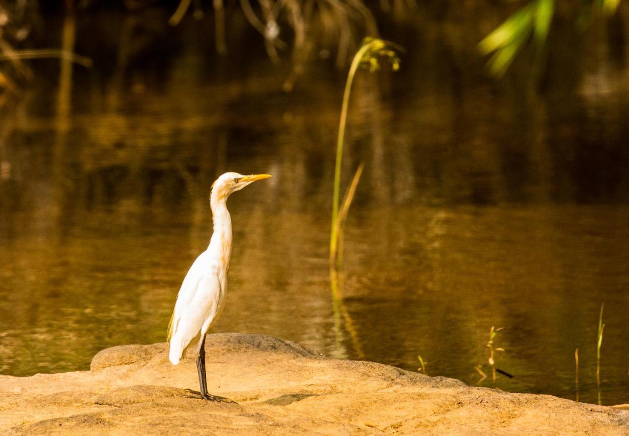 Quiet By The River- Cgh Earth Thodakayam ภายนอก รูปภาพ