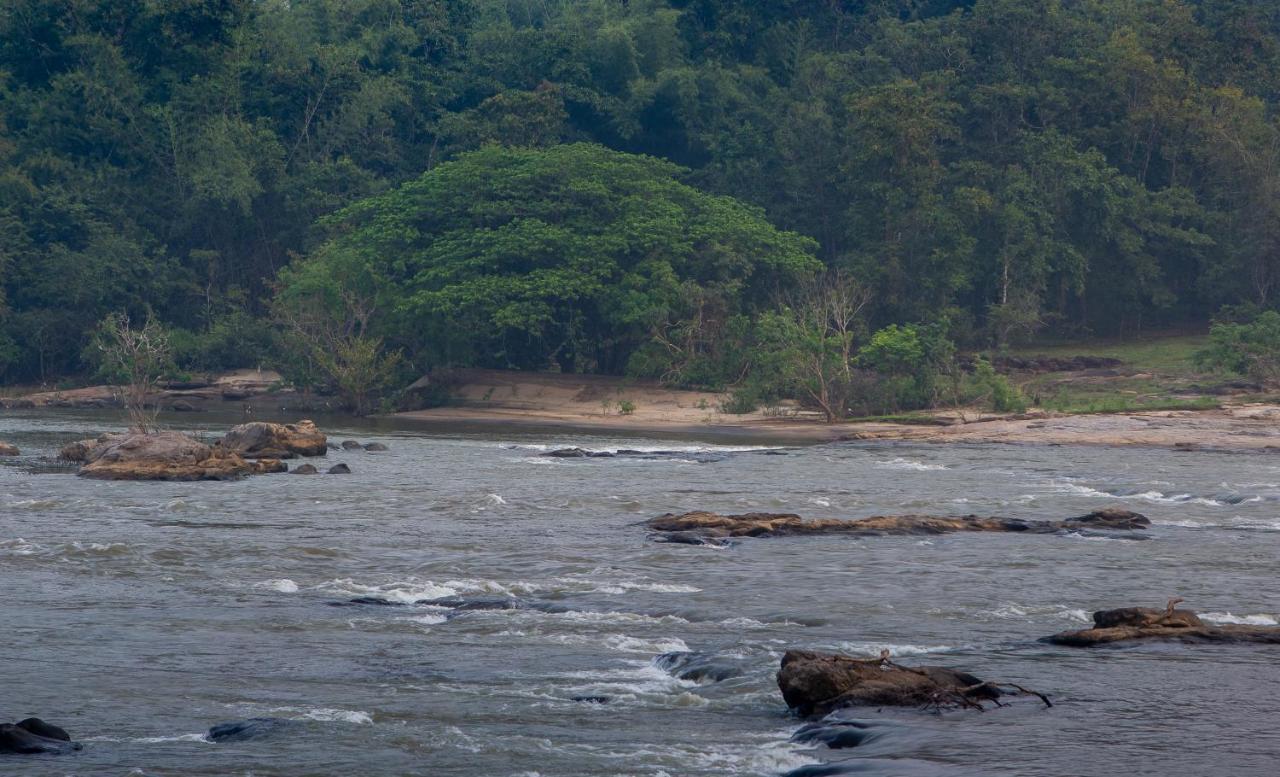 Quiet By The River- Cgh Earth Thodakayam ภายนอก รูปภาพ